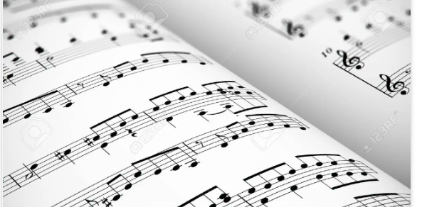 What is the purpose of musicology?